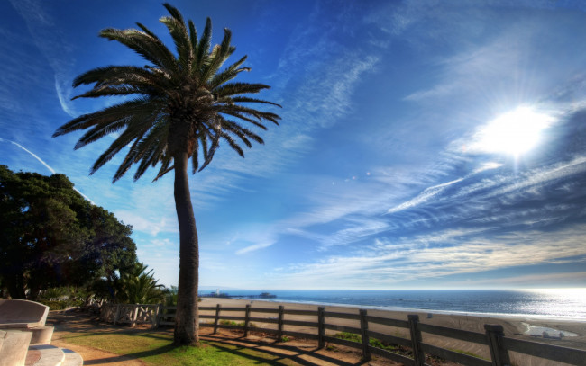 Обои картинки фото природа, тропики