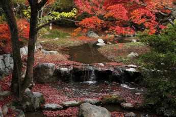 Картинка природа реки озера вода камни деревья