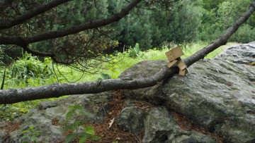 Картинка разное данбо danboard коробочка