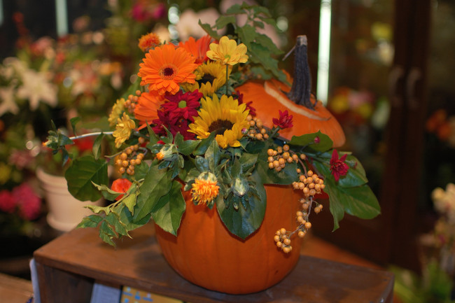 Обои картинки фото цветы, букеты, композиции, тыква, розы, герберы, подсолнух