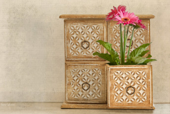 Картинка цветы герберы ящик