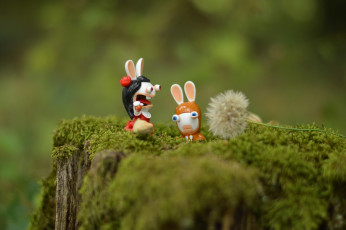 Картинка разное игрушки макро мох пень кролики