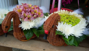 Картинка уточки цветы букеты композиции