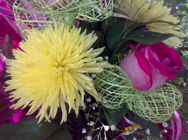 Обои картинки фото букетик, цветы, букеты, композиции