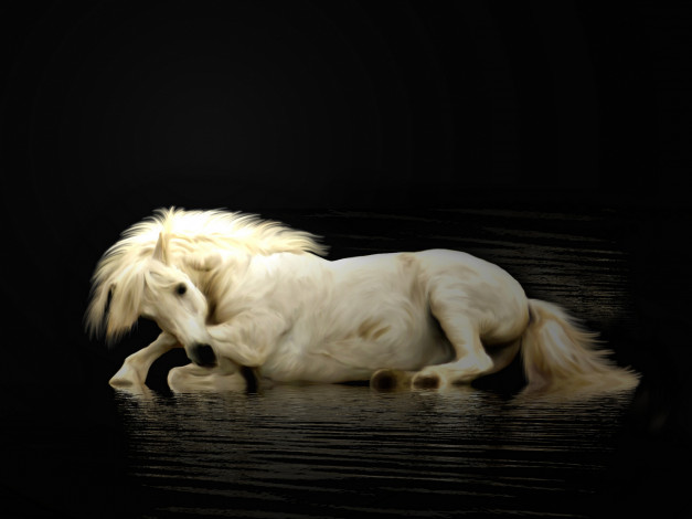 Обои картинки фото разное, компьютерный, дизайн, лошадь, вода