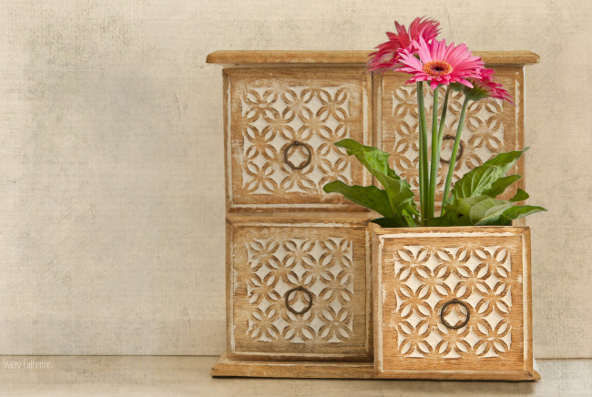 Обои картинки фото цветы, герберы, ящик