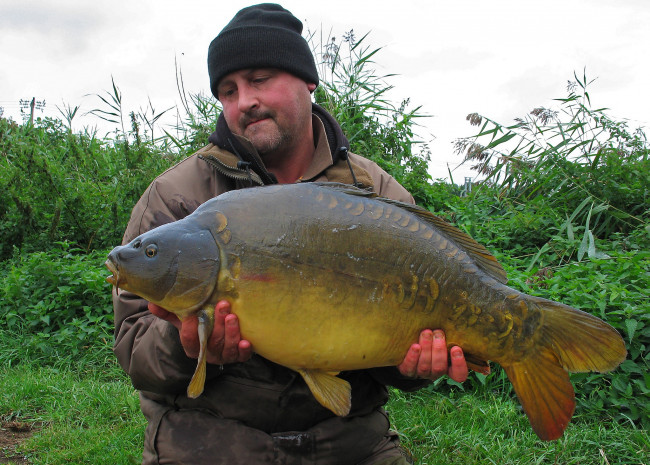 Обои картинки фото на, малька, не, похожа, животные, рыбы, карп, рыба, улов