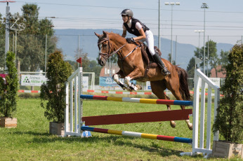 Картинка спорт конный+спорт ипподром лошадь жокей скачки