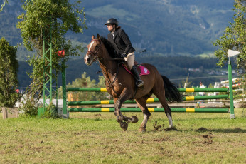 Картинка спорт конный+спорт ипподром лошадь жокей скачки