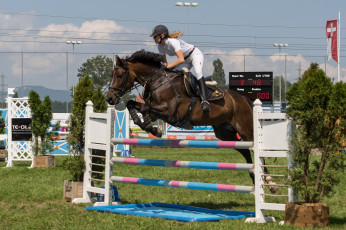 Картинка спорт конный+спорт ипподром лошадь жокей скачки
