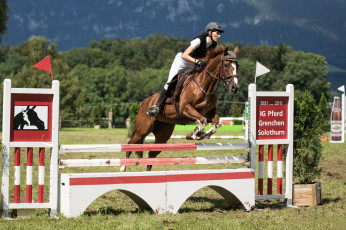 Картинка спорт конный+спорт ипподром лошадь жокей скачки