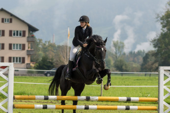 Картинка спорт конный+спорт скачки лошадь жокей ипподром