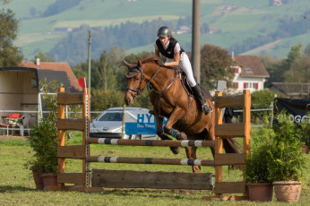 Картинка спорт конный+спорт жокей скачки лошадь ипподром