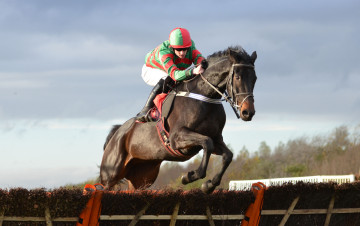 Картинка спорт конный+спорт скачки жокей лошадь ипподром