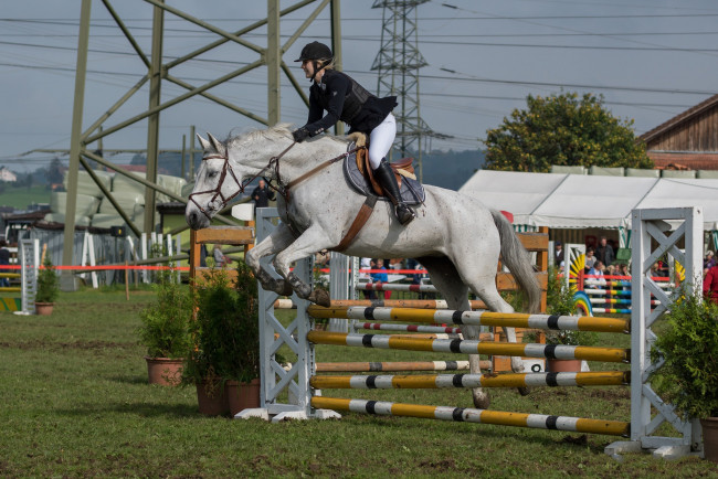 Обои картинки фото спорт, конный спорт, ипподром, лошадь, жокей, скачки