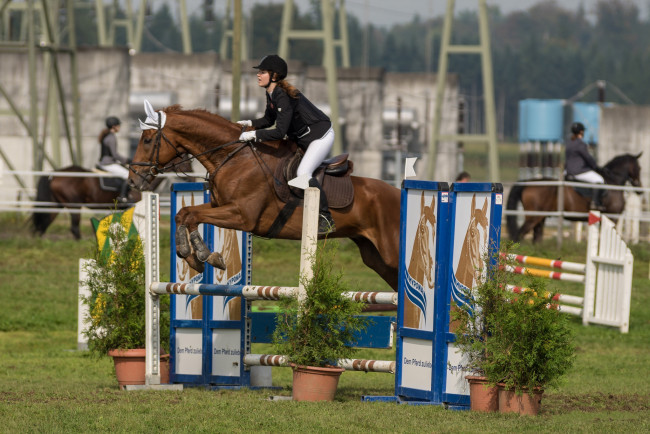 Обои картинки фото спорт, конный спорт, ипподром, лошадь, жокей, скачки