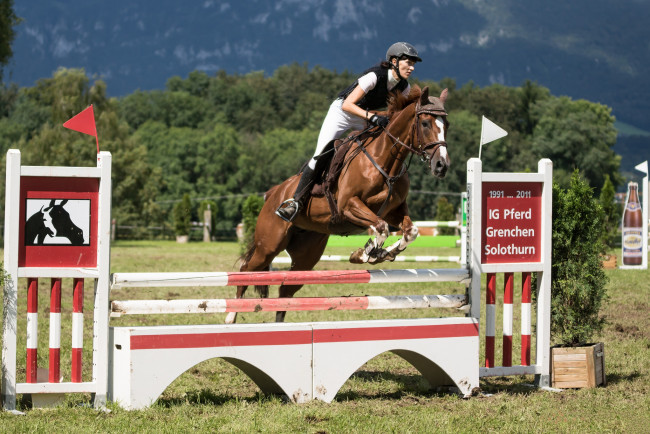 Обои картинки фото спорт, конный спорт, ипподром, лошадь, жокей, скачки