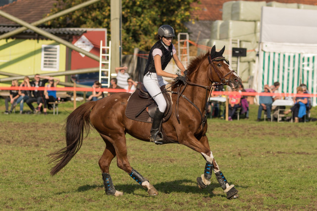 Обои картинки фото спорт, конный спорт, лошадь, ипподром, скачки, жокей