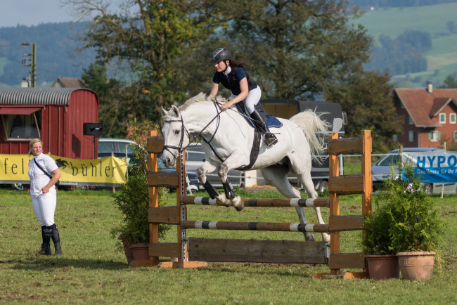 Обои картинки фото спорт, конный спорт, скачки, жокей, ипподром, лошадь