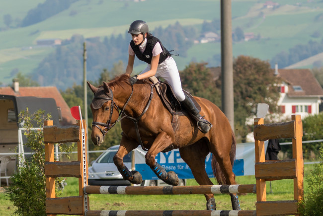 Обои картинки фото спорт, конный спорт, скачки, жокей, ипподром, лошадь