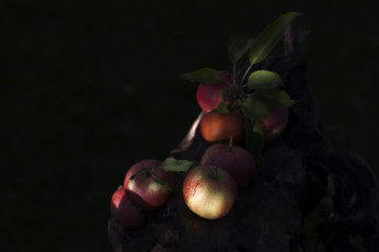 Картинка еда Яблоки плоды