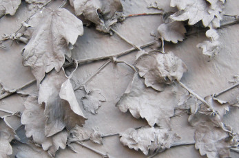 Картинка разное -+другое листья фон краска