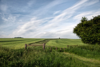 Картинка природа пейзажи простор