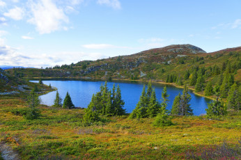 Картинка природа реки озера лес река