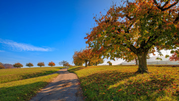 Картинка природа дороги тракт