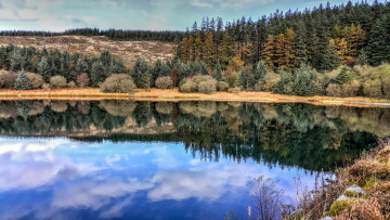 Картинка природа реки озера река лес