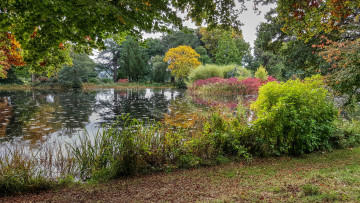 Картинка природа реки озера река лес