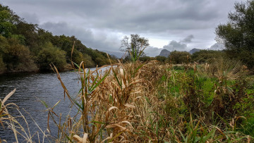 Картинка природа реки озера река лес