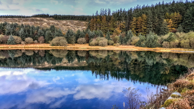 Обои картинки фото природа, реки, озера, река, лес