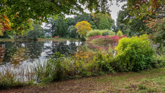 Обои картинки фото природа, реки, озера, река, лес