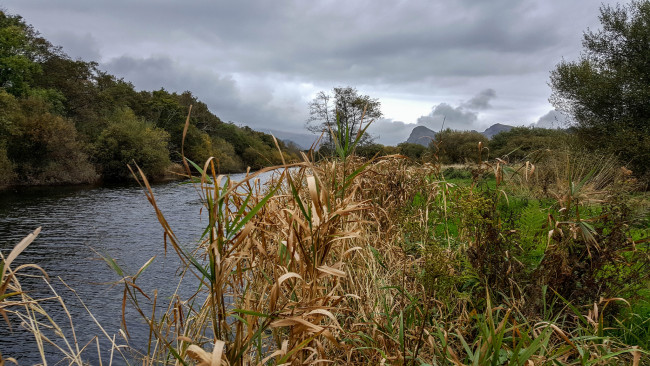 Обои картинки фото природа, реки, озера, река, лес