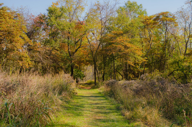 Обои картинки фото природа, дороги, тракт