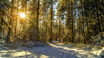 Картинка природа зима простор