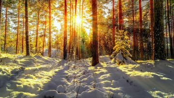 Картинка природа зима простор