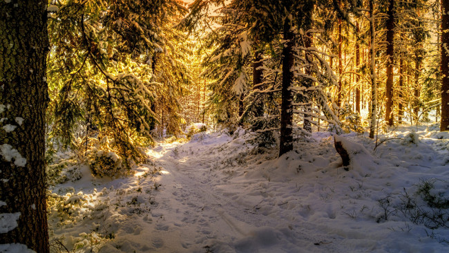 Обои картинки фото природа, зима, простор