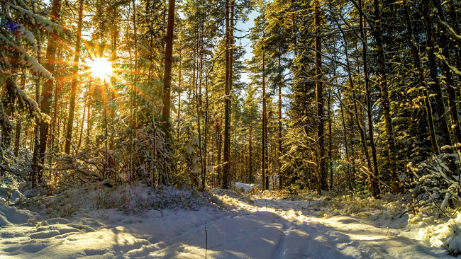 Обои картинки фото природа, зима, простор