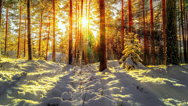 Обои картинки фото природа, зима, простор