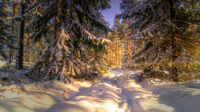 Обои картинки фото природа, зима, простор