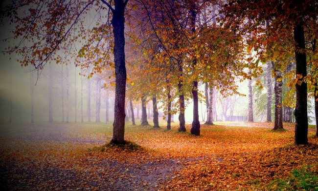 Обои картинки фото природа, пейзажи, простор