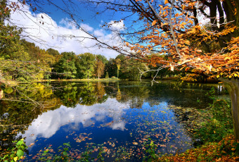 Картинка природа реки озера простор