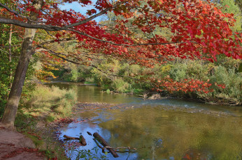 Картинка природа реки озера простор