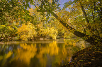 Картинка природа реки озера простор