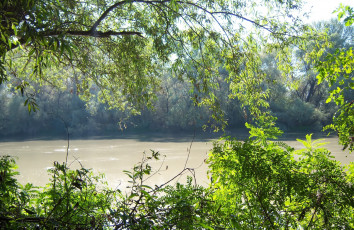 Картинка природа реки озера река