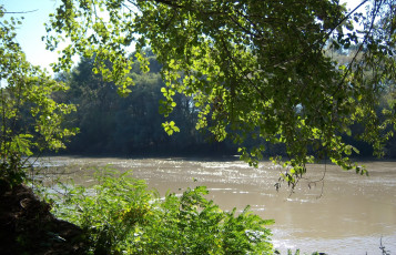 Картинка природа реки озера река