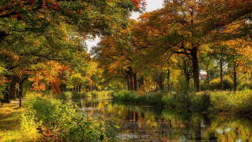 Картинка природа реки озера простор