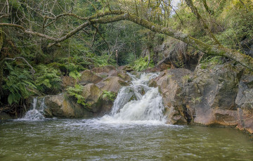 Картинка природа реки озера простор